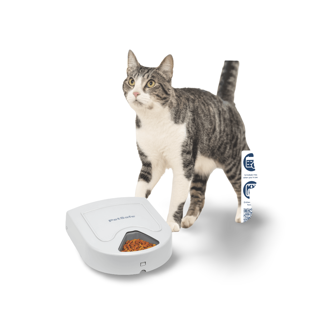Buy Petsafe Eatwell Pet Feeder 5 Meal Online Better Prices At Pet Circle