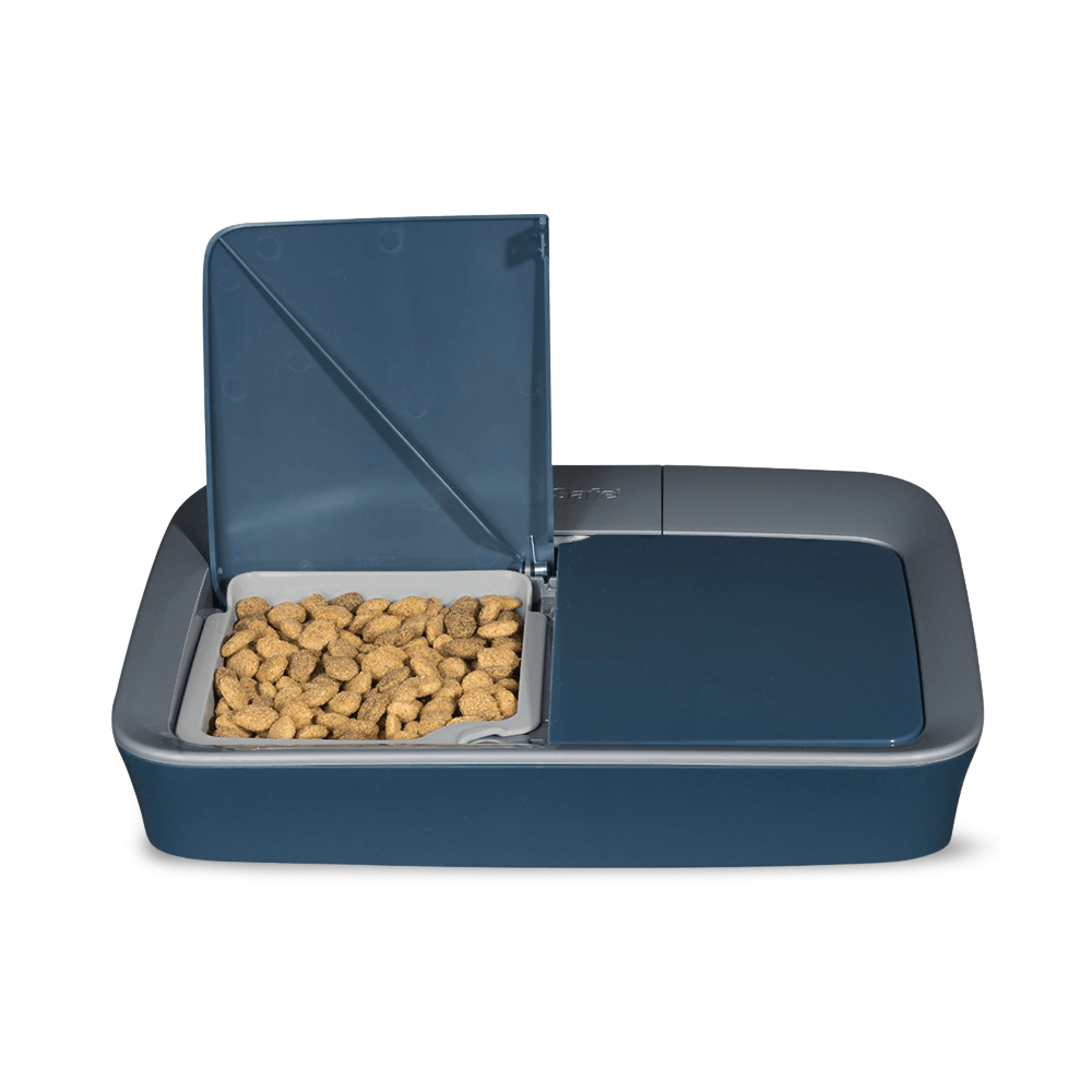 petsafe feeder not working