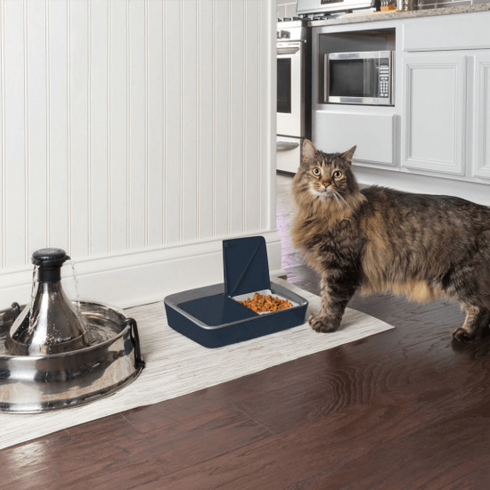 digital pet feeder