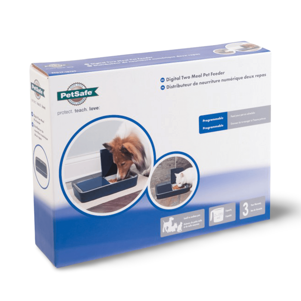 digital two meal feeder