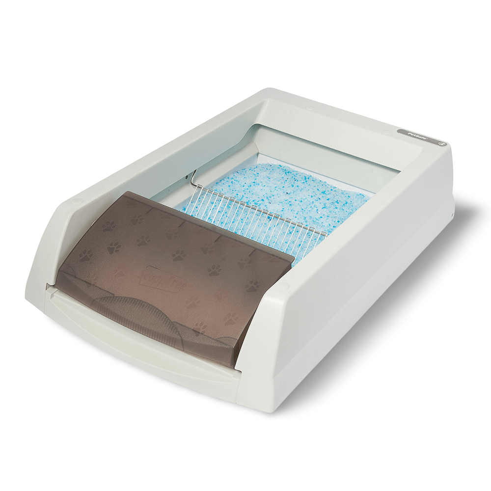 Buy Petsafe Scoop Free Litter Tray Self Cleaning Original Online
