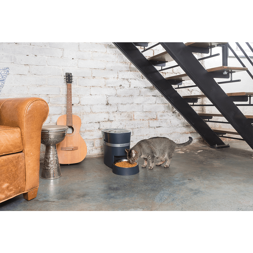 Buy Petsafe Smart Feed Automatic Dog And Cat Feeder Online | Better ...