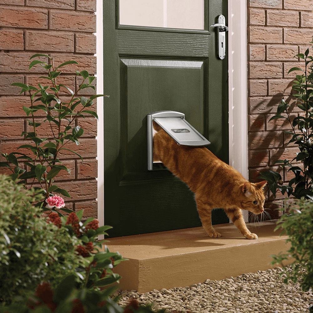Buy Petsafe Staywell Pet Door Original Silver Online Low Prices, Free