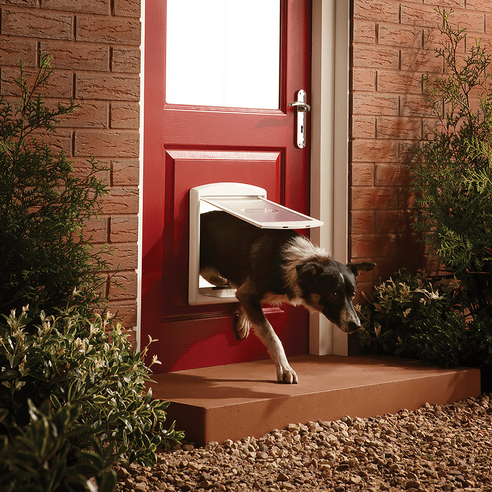 Buy Petsafe Staywell Pet Door Original White Online Better Prices At Pet Circle