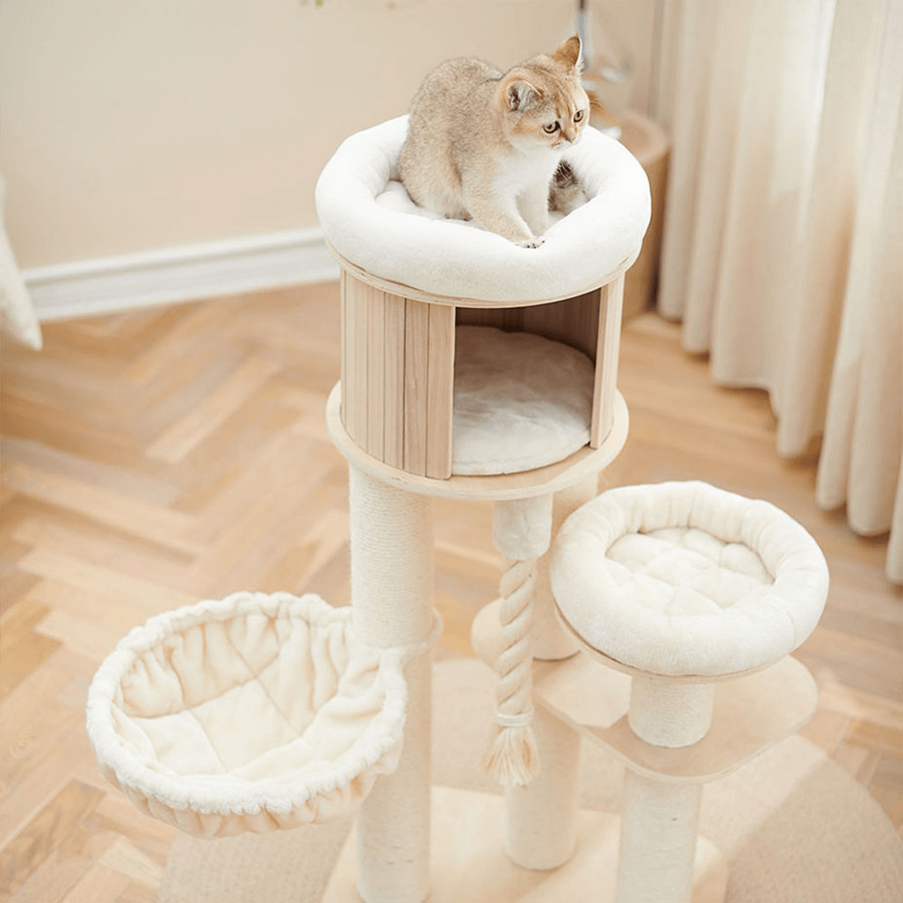Buy Petsbelle Virtue Solid Wood Cat Tree Online Better Prices At Pet