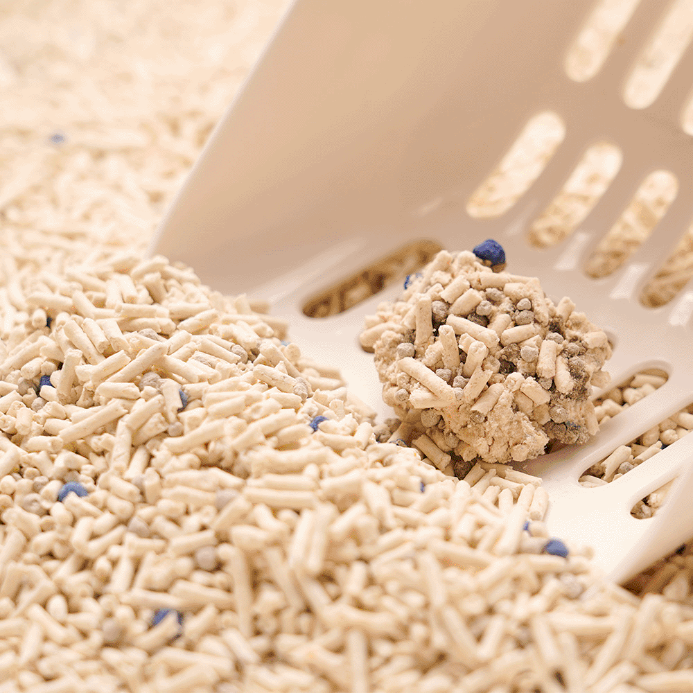 Buy Pidan Composite Cat Mineral Tofu Litter Online Better Prices At