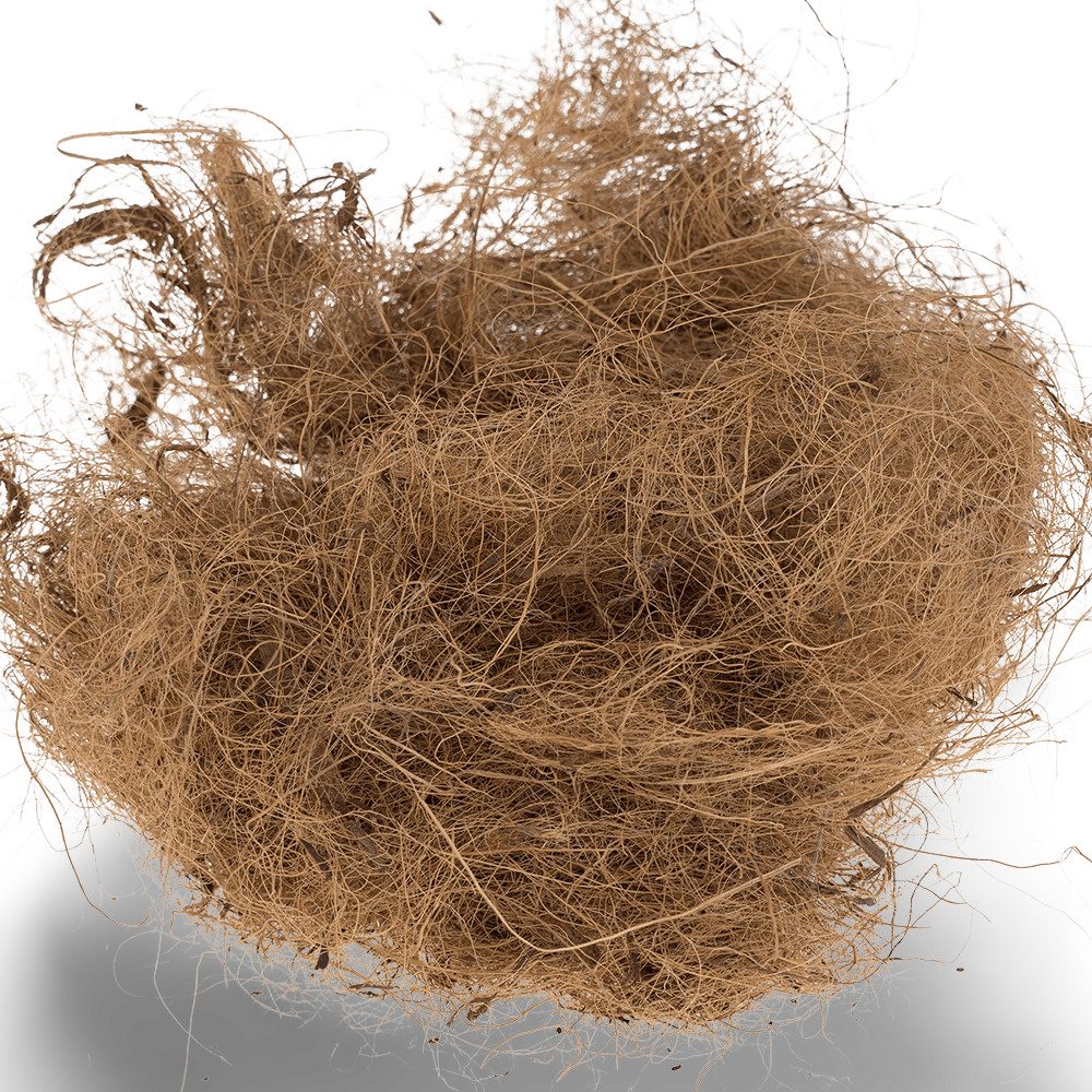 budgie nesting material