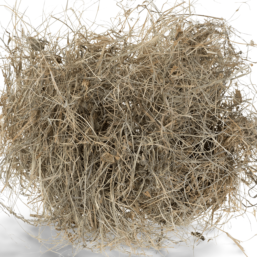 budgie nesting material