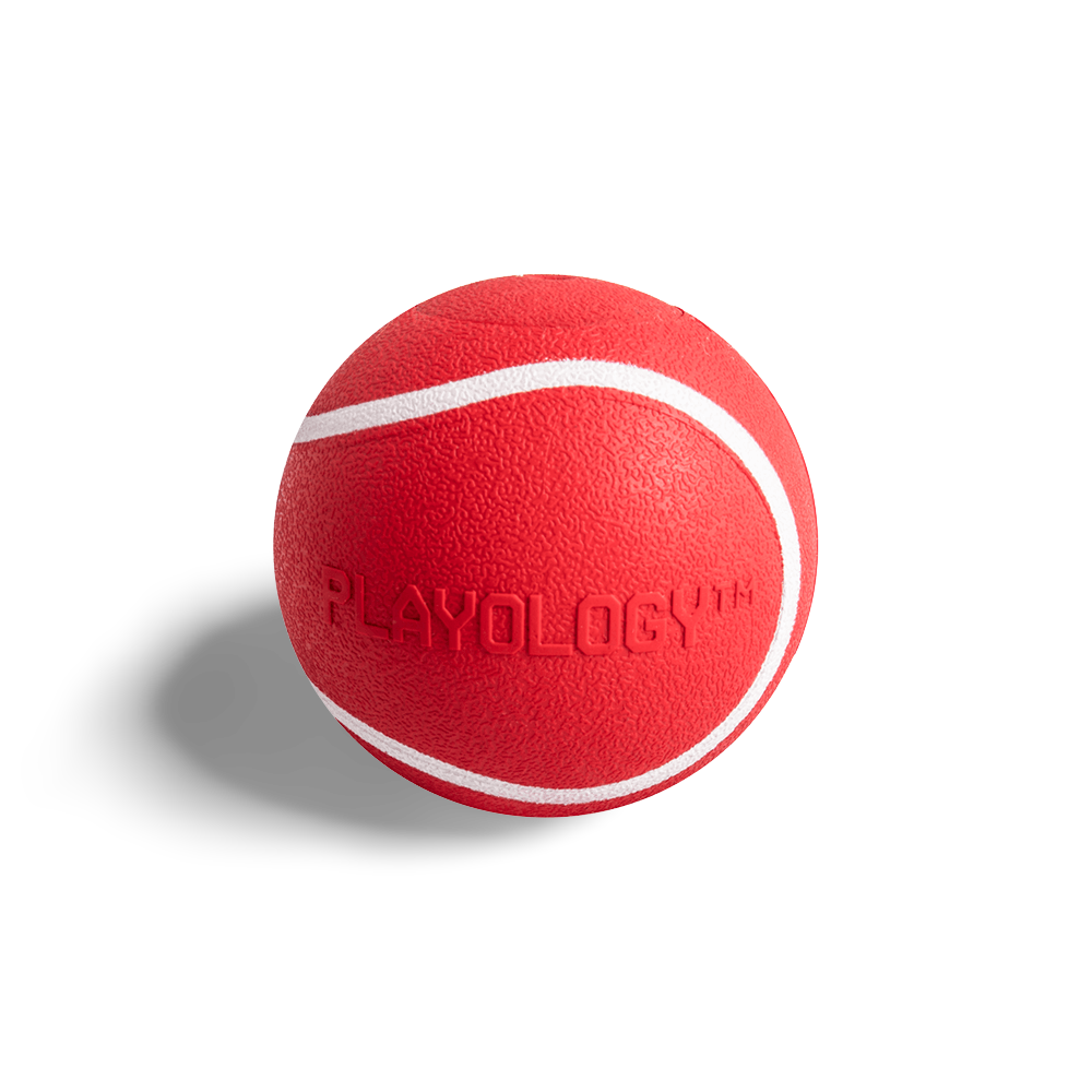 most expensive litter box