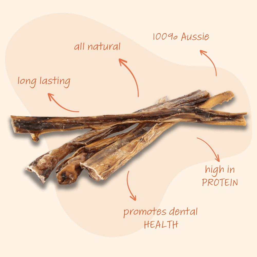 Buy Pooch Treats Bull Pizzles Dog Treats Online Low Prices, Free Shipping