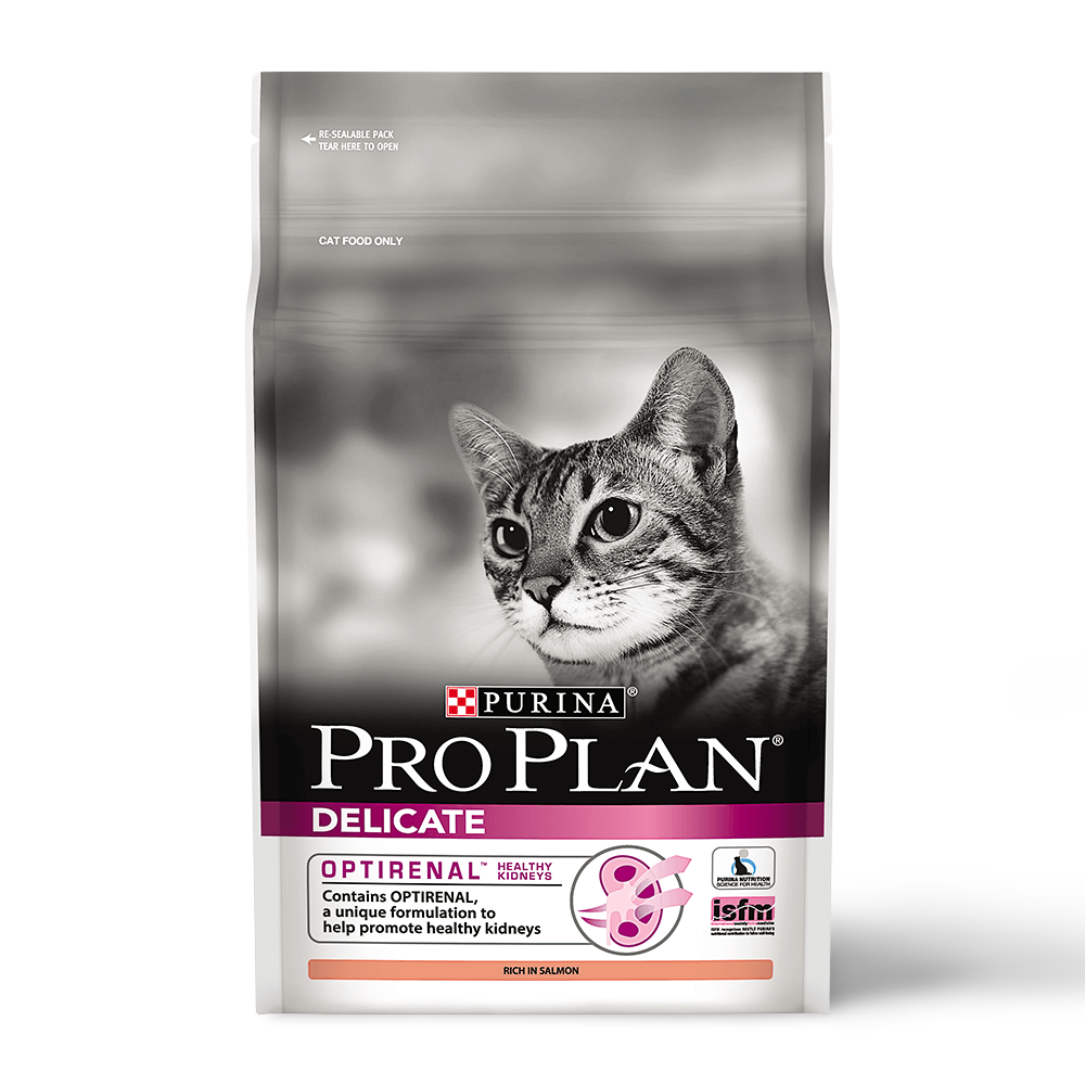 bandeath dog shelter