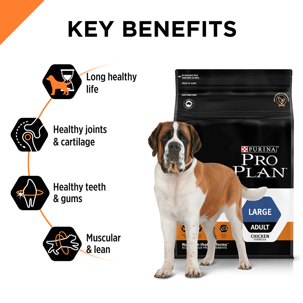 pro plan large breed