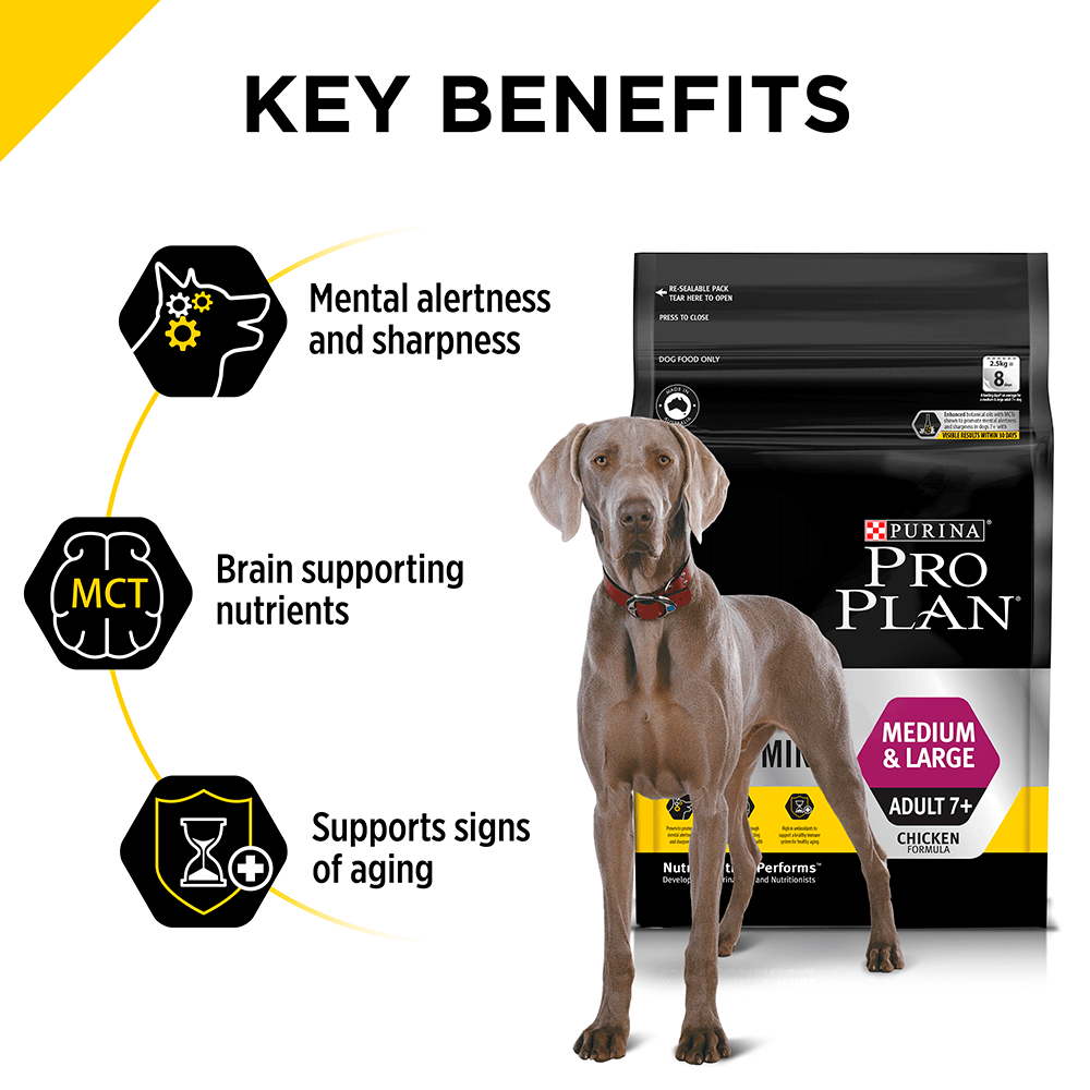 pro plan senior large breed