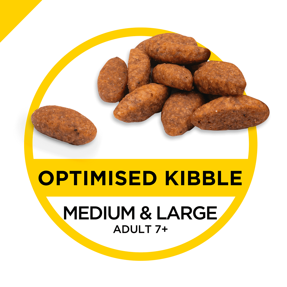 pro plan bright mind large breed