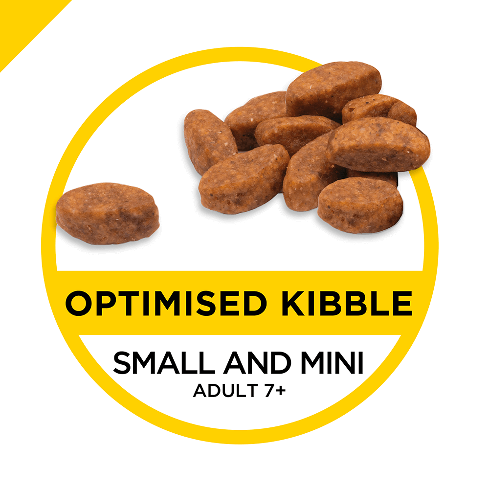 Buy Pro Plan Bright Minds Senior Small Breed Dry Dog Food Online