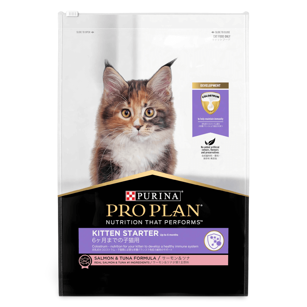Buy Pro Plan Kitten Starter Dry Cat Food Online | Low Prices, Free Shipping