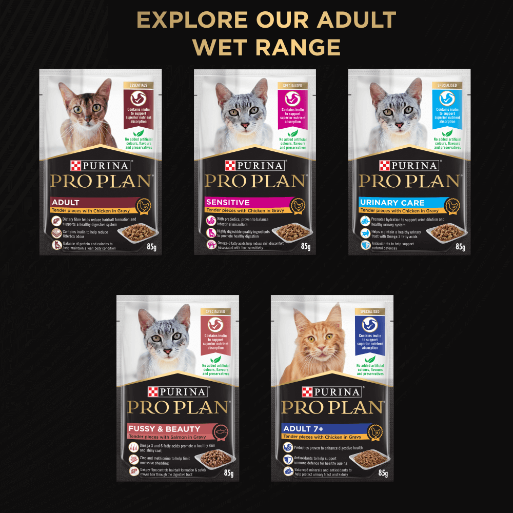 Buy Pro Plan Live Clear Adult Indoor Dry Cat Food Online Better