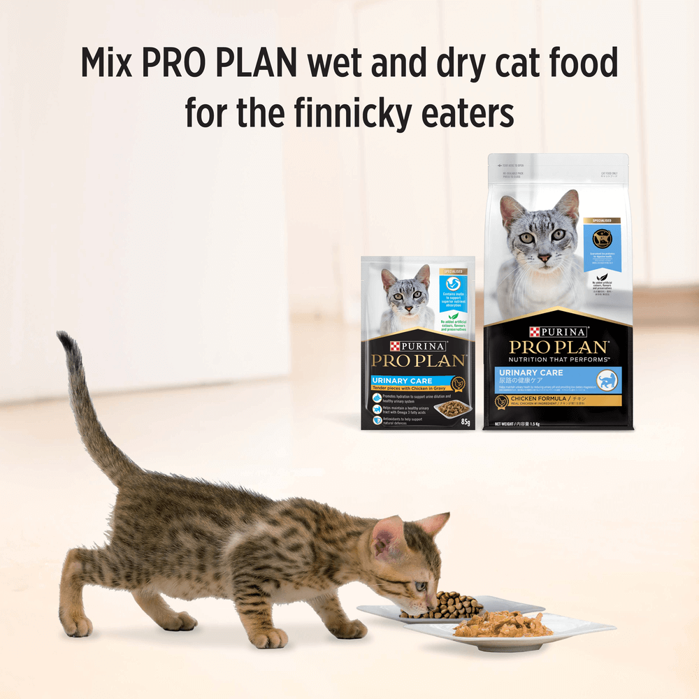 Buy Pro Plan Urinary Tract Health Chicken Gravy Wet Cat Food Pouches