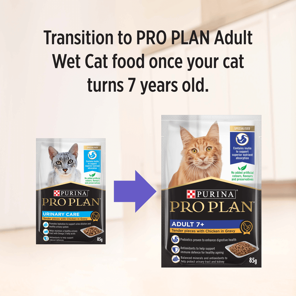 Buy Pro Plan Urinary Tract Health Chicken Gravy Wet Cat Food Pouches Online Better Prices At