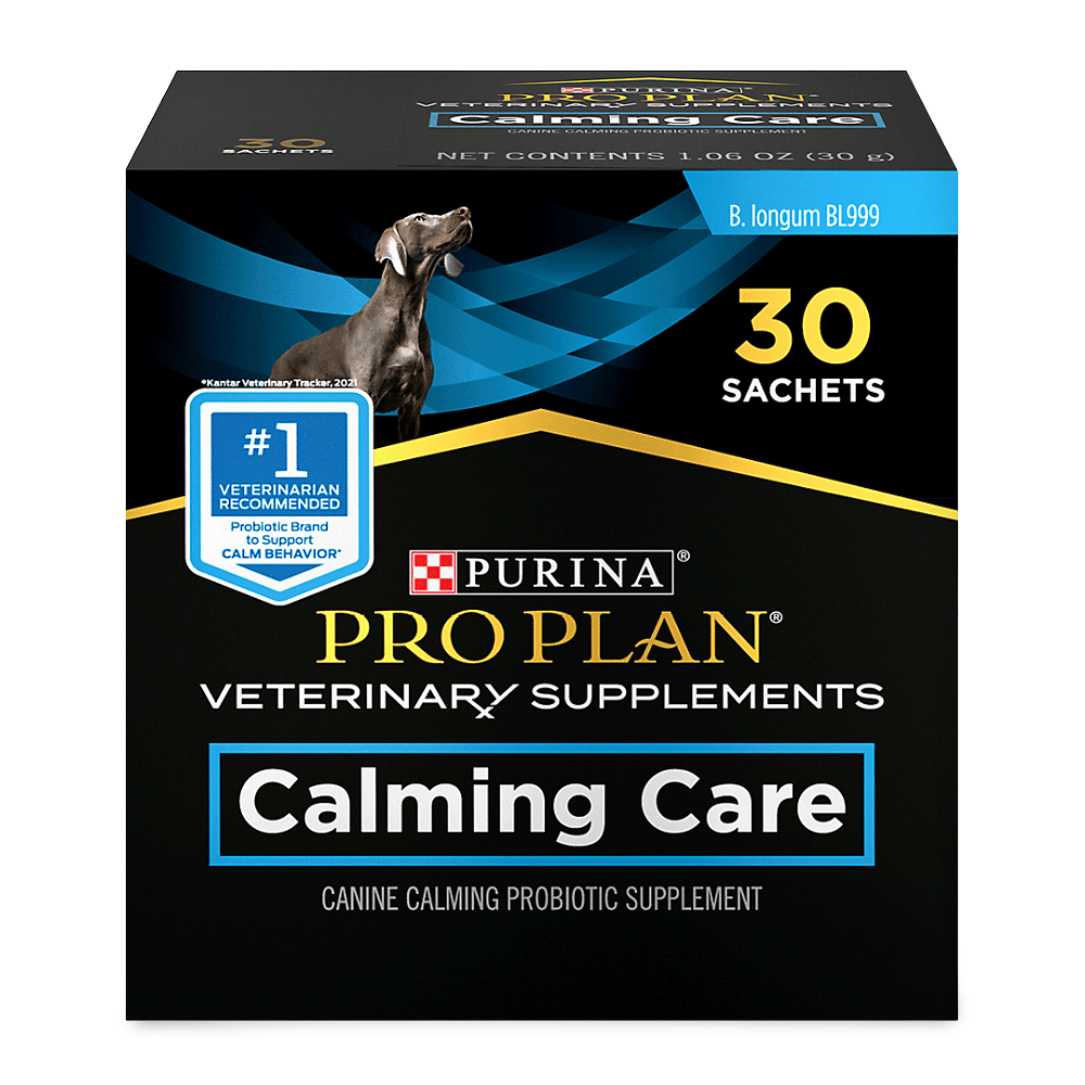 royal canin dachshund dog food