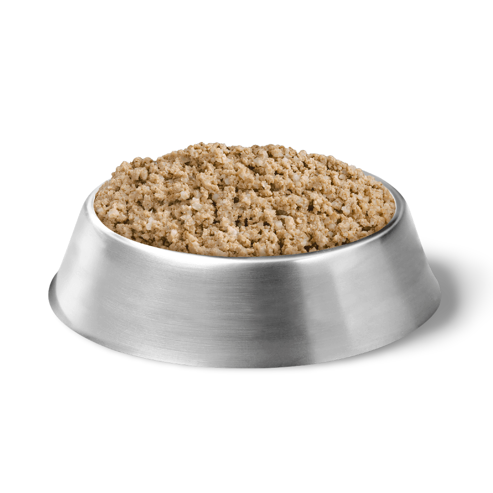 pro plan salmon rice