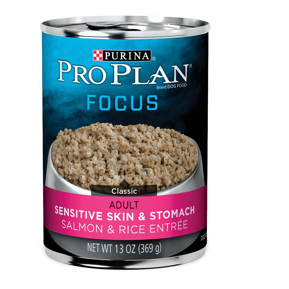 pro plan salmon rice