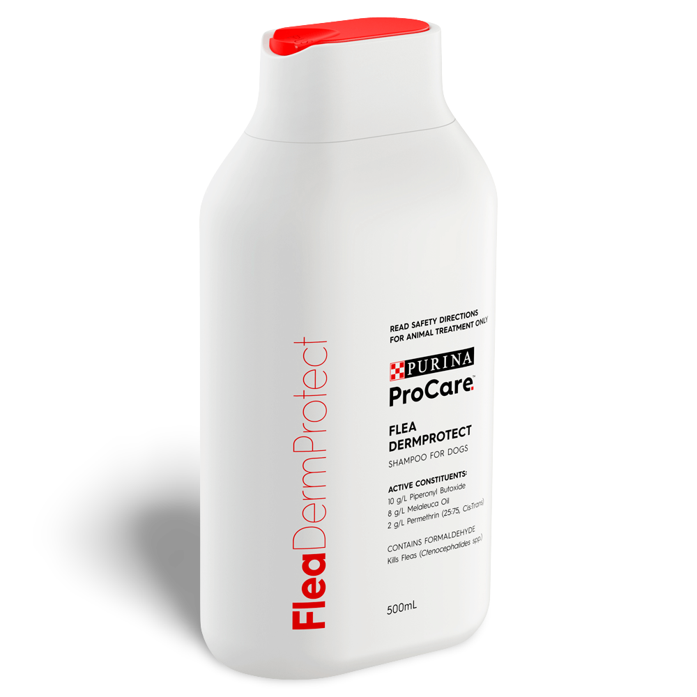 will tea tree shampoo kill fleas