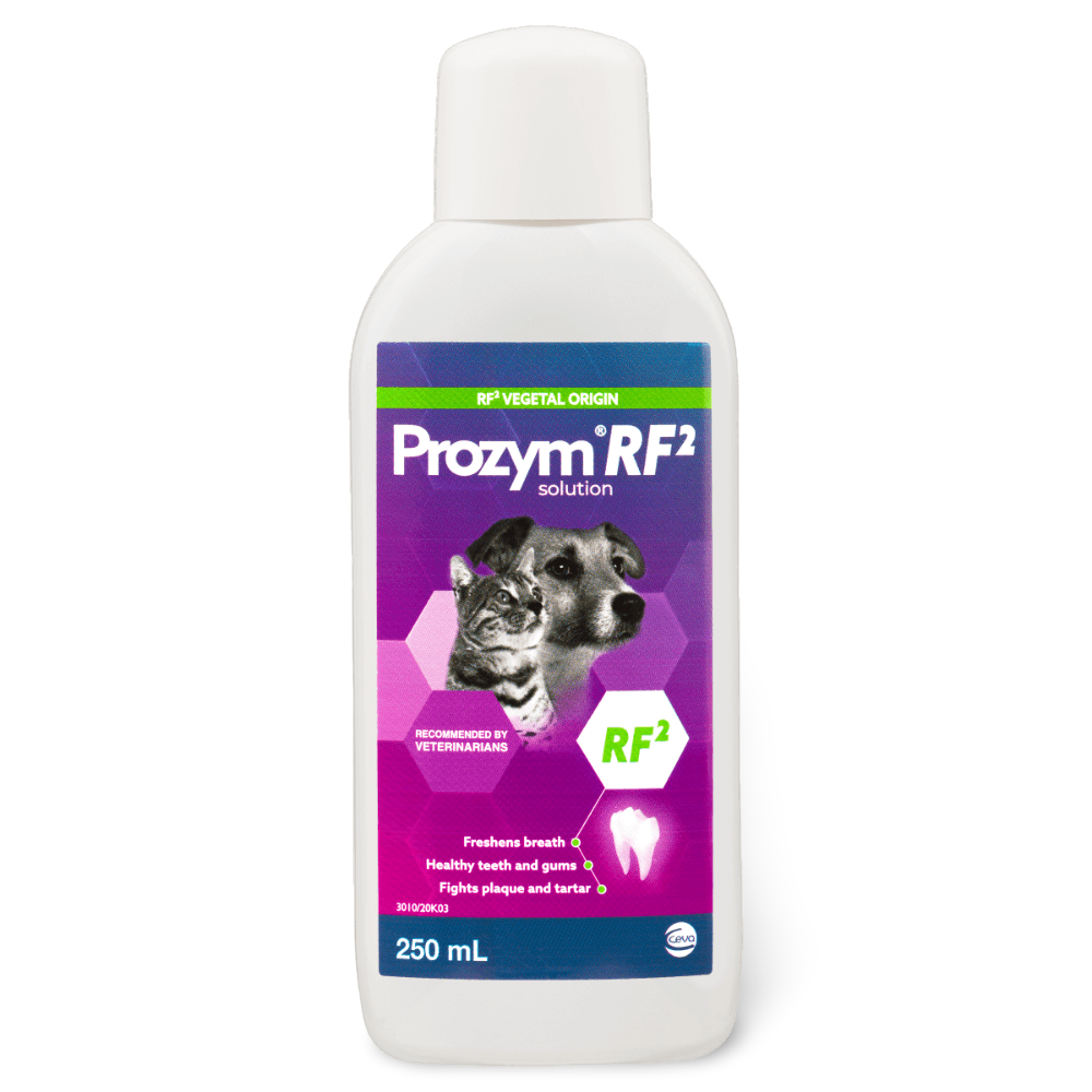 Buy Prozym Rf2 Dental Solution Online Better Prices At Pet Circle