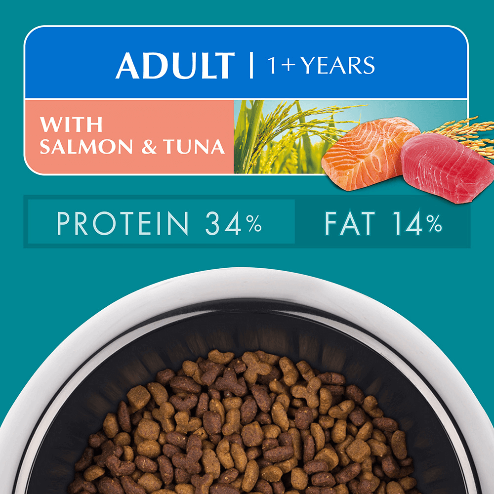 Buy Purina One Adult Salmon And Tuna Dry Cat Food Online Low Prices, Free Shipping