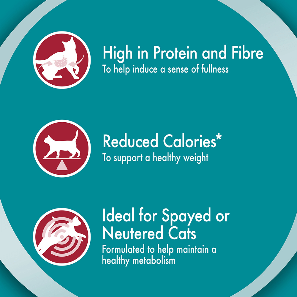 Buy Purina One Chicken Healthy Weight Dry Cat Food Online Better