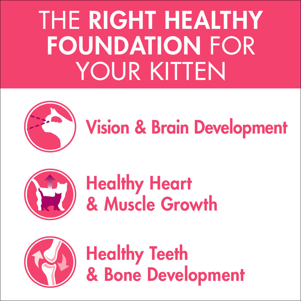 purina kitten food ingredients