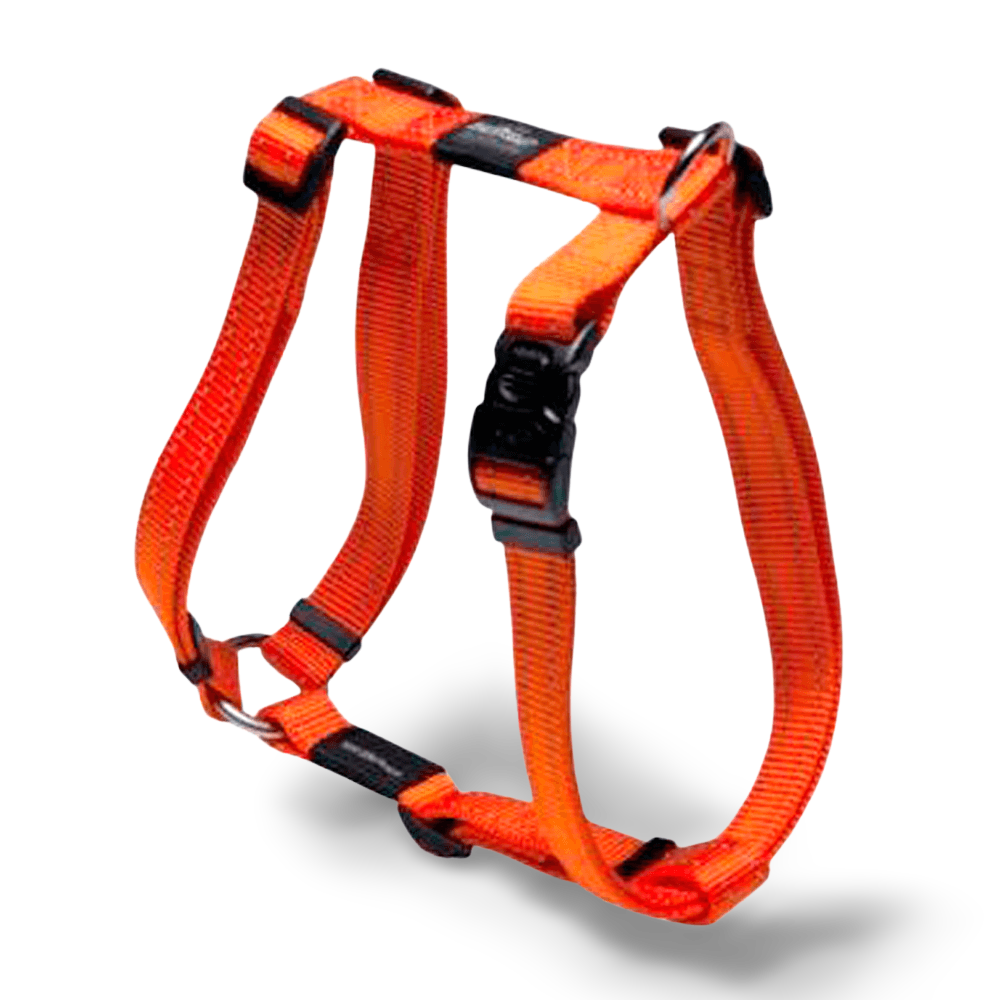 Buy Rogz H Harness Orange Online Low Prices, Free Shipping