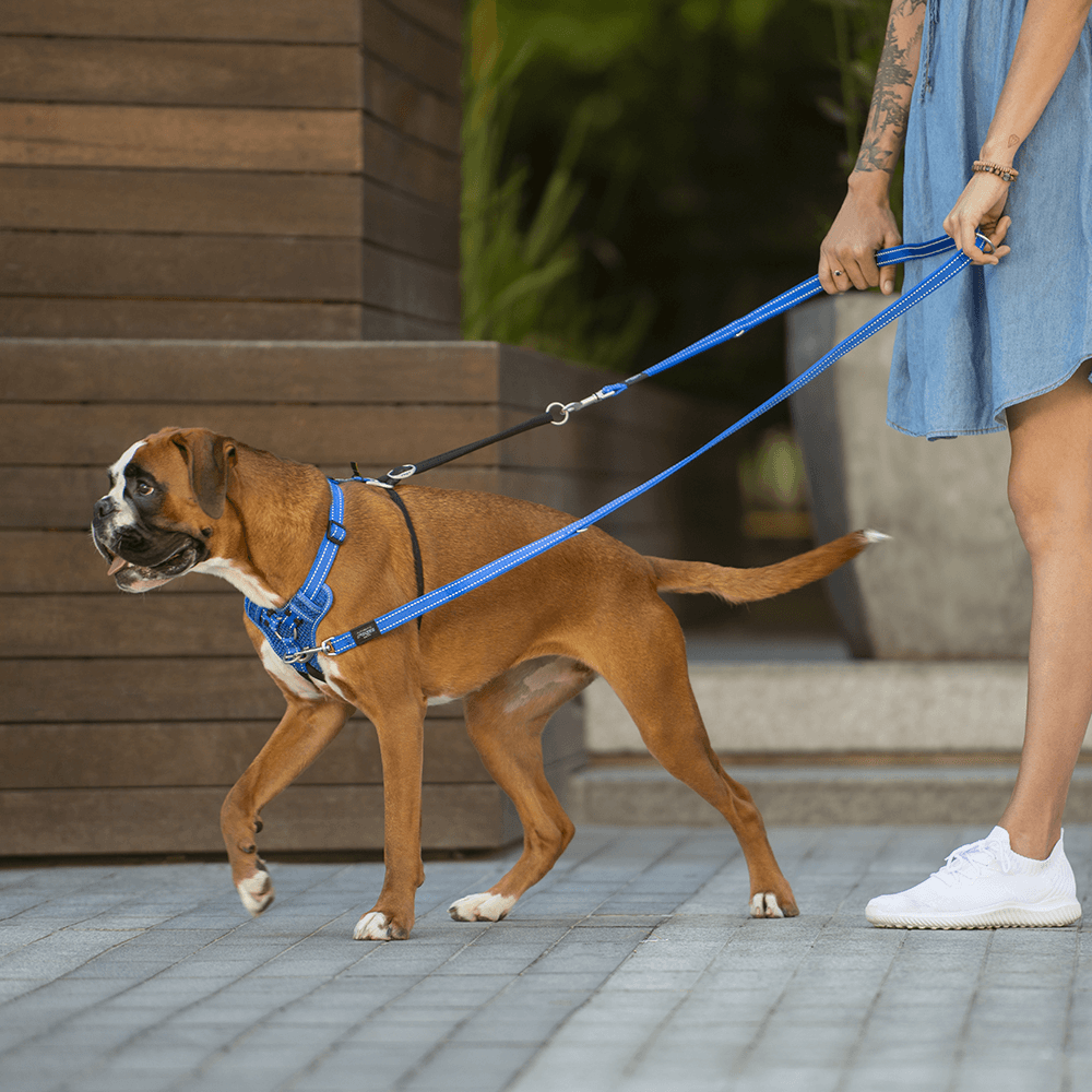 Buy Rogz Harness Control Stop Pull Red Online Better Prices At Pet Circle