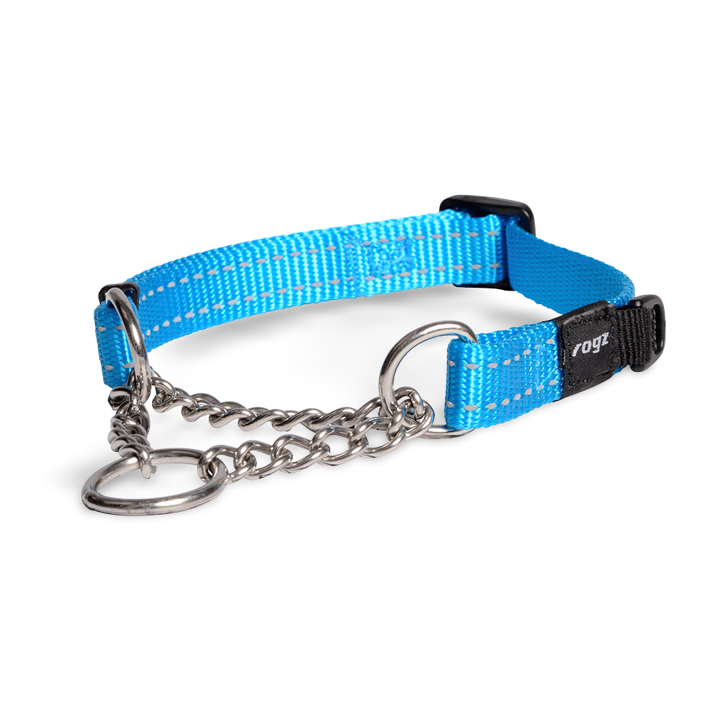 Buy Rogz Obedience Collar Turquoise Online Low Prices, Free Shipping