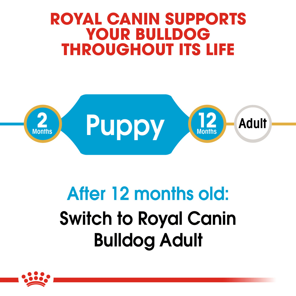 royal canin bulldog puppy 12kg