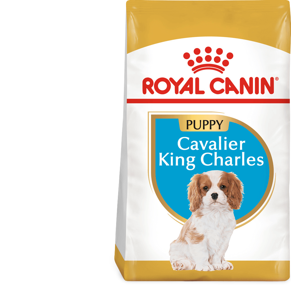 Buy Royal Canin Cavalier King Charles Puppy Dry Dog Food Online