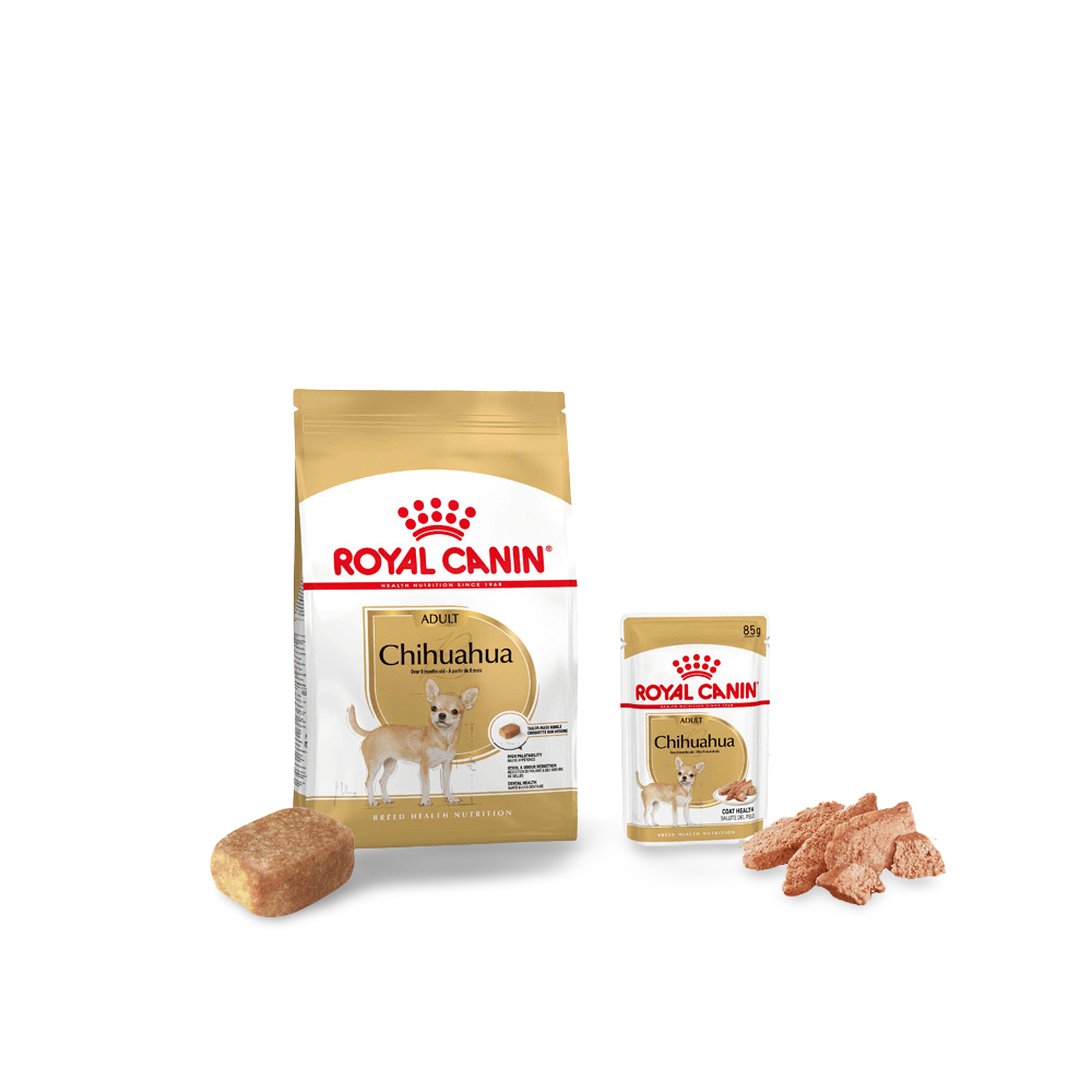 royal canin chihuahua adult 3kg