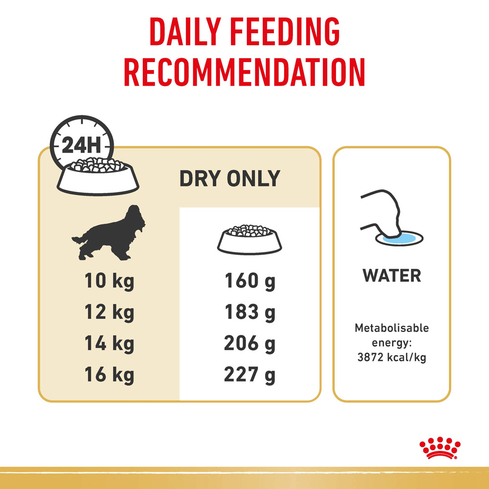 royal canin spaniel food