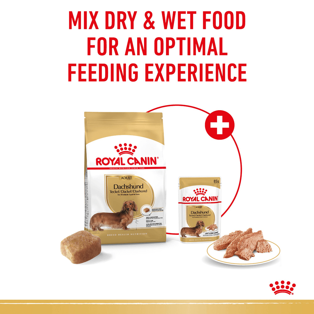 royal canin dachshund