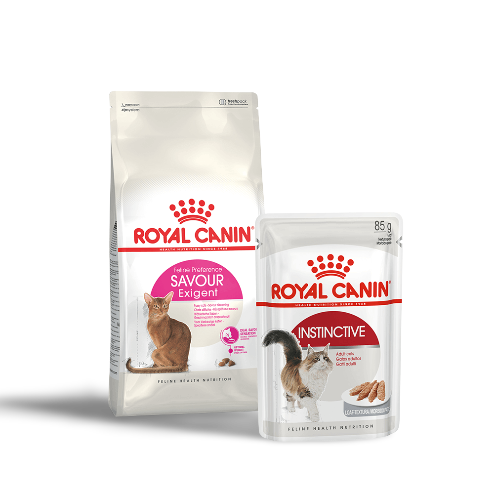 キャットフード  CANIN AROMA Exigent 4kg Royal Canin Aroma Exigent Cat - Buy at Vivapets Today!