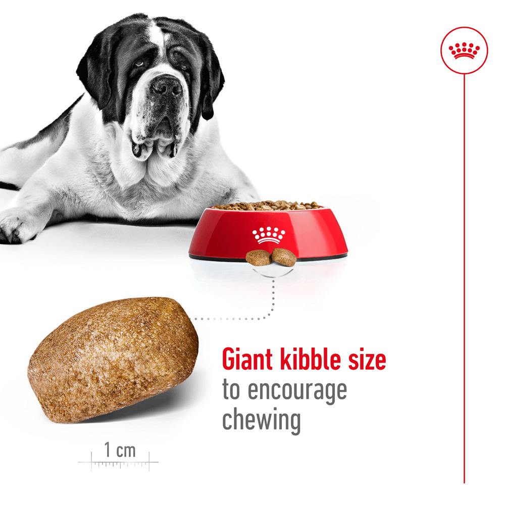 giant dog food