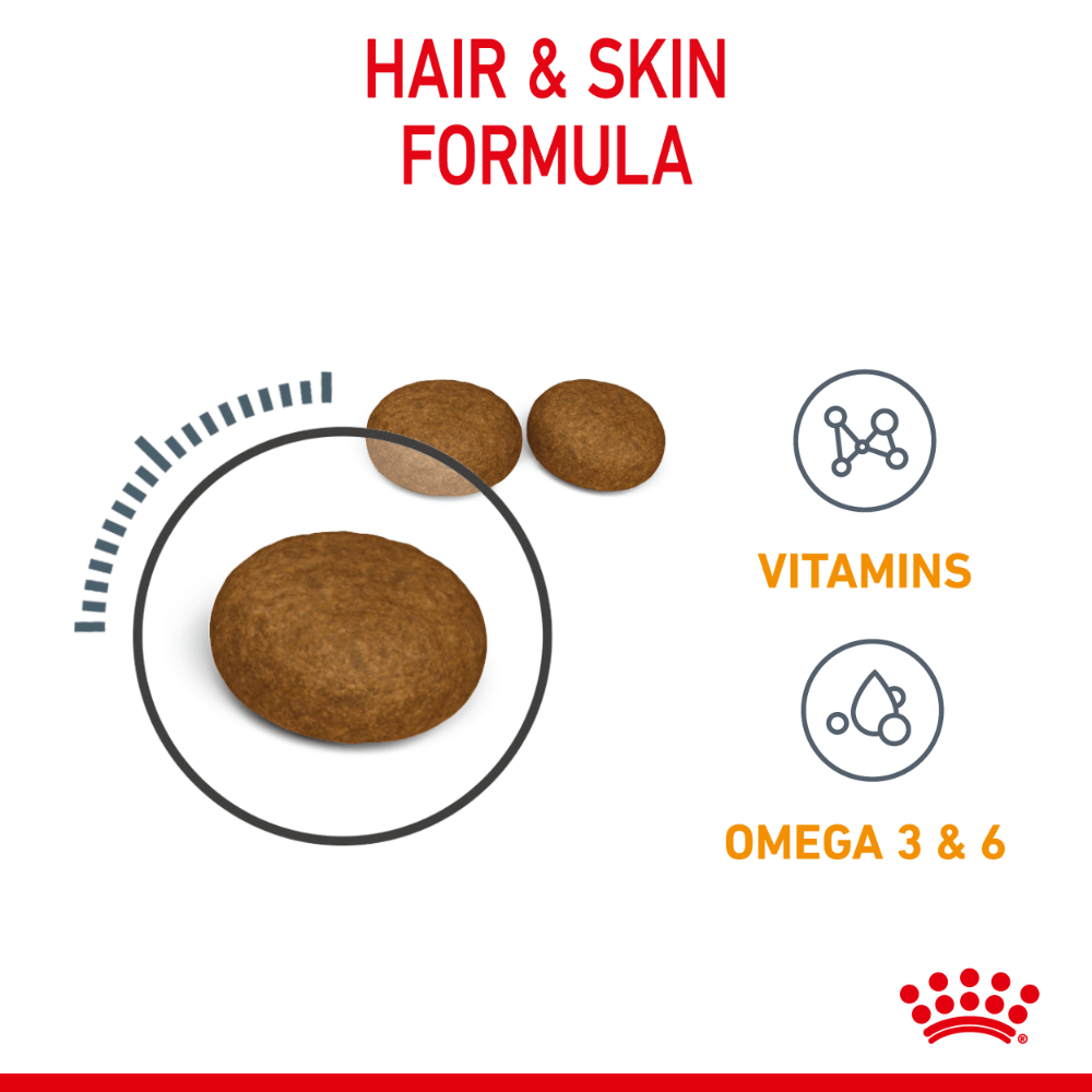 royal canin kitten hair and skin
