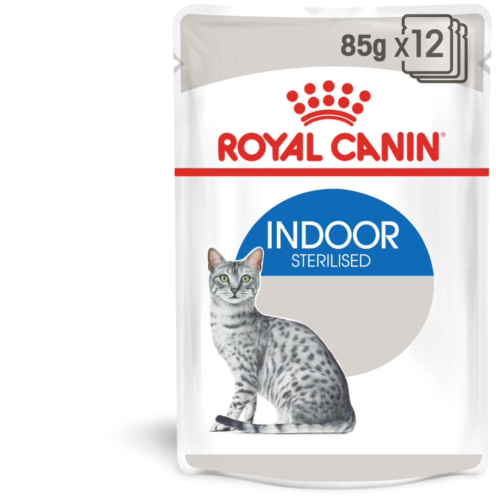 Buy Royal Canin Indoor Adult Gravy Wet Cat Food Pouches Online Better