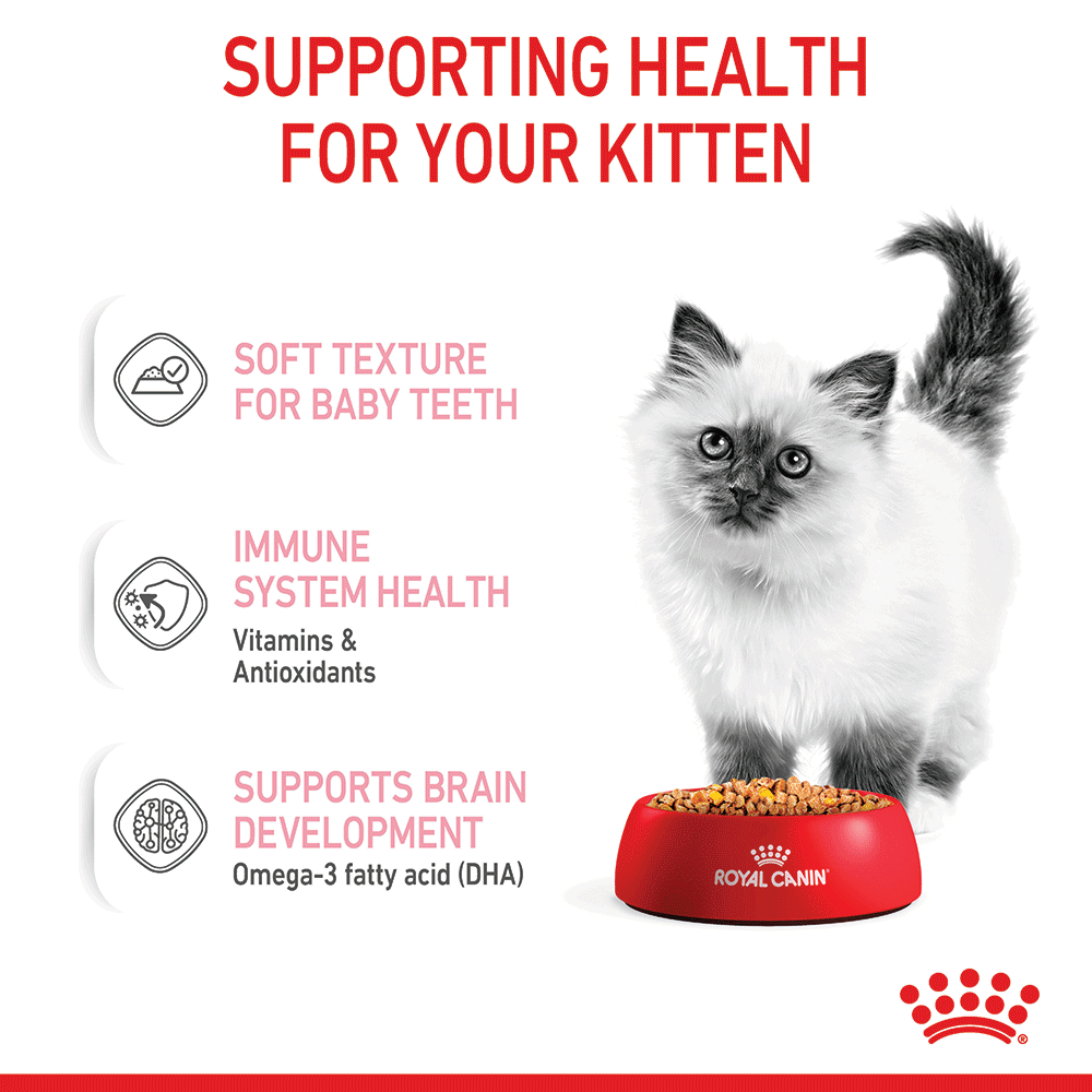Buy Royal Canin Kitten Instinctive Jelly Wet Cat Food Pouches Online Better Prices At Pet Circle