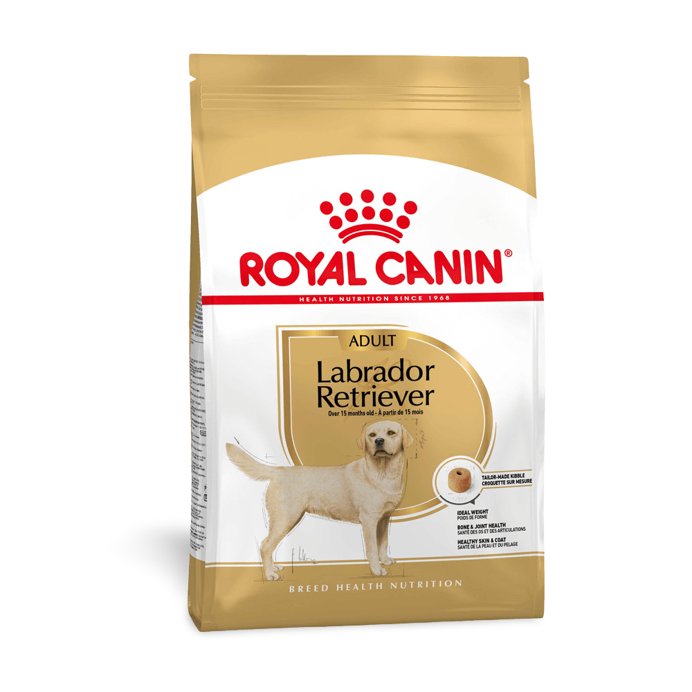 Buy Royal Canin Labrador Retriever Adult Dry Dog Food Online Low