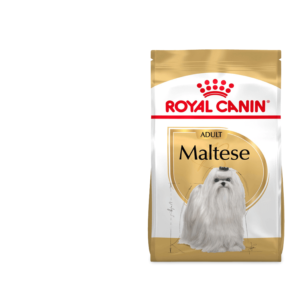 royal canin lhasa apso food