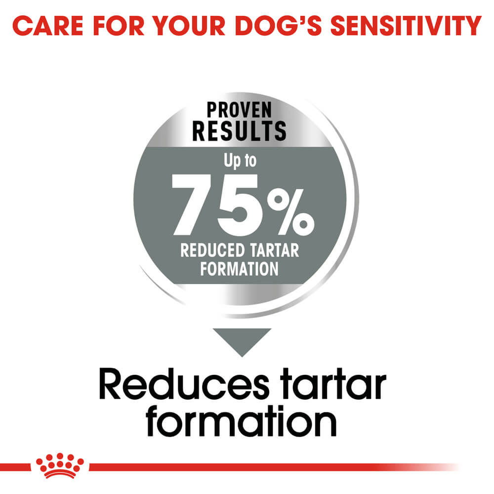 Buy Royal Canin Maxi Adult Dental Care Dry Dog Food Online Better Prices At Pet Circle