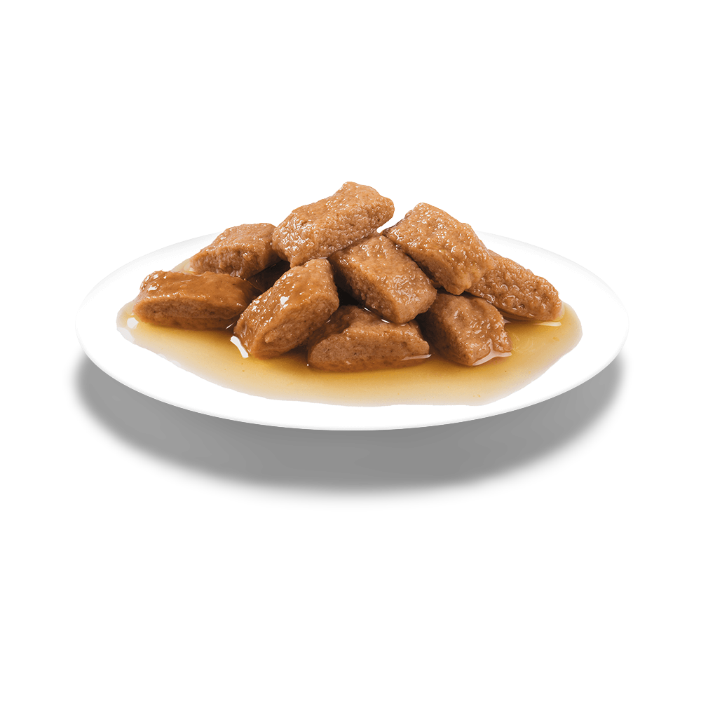 Buy Royal Canin Medium Ageing 10 Plus Senior Wet Dog Food Pouches
