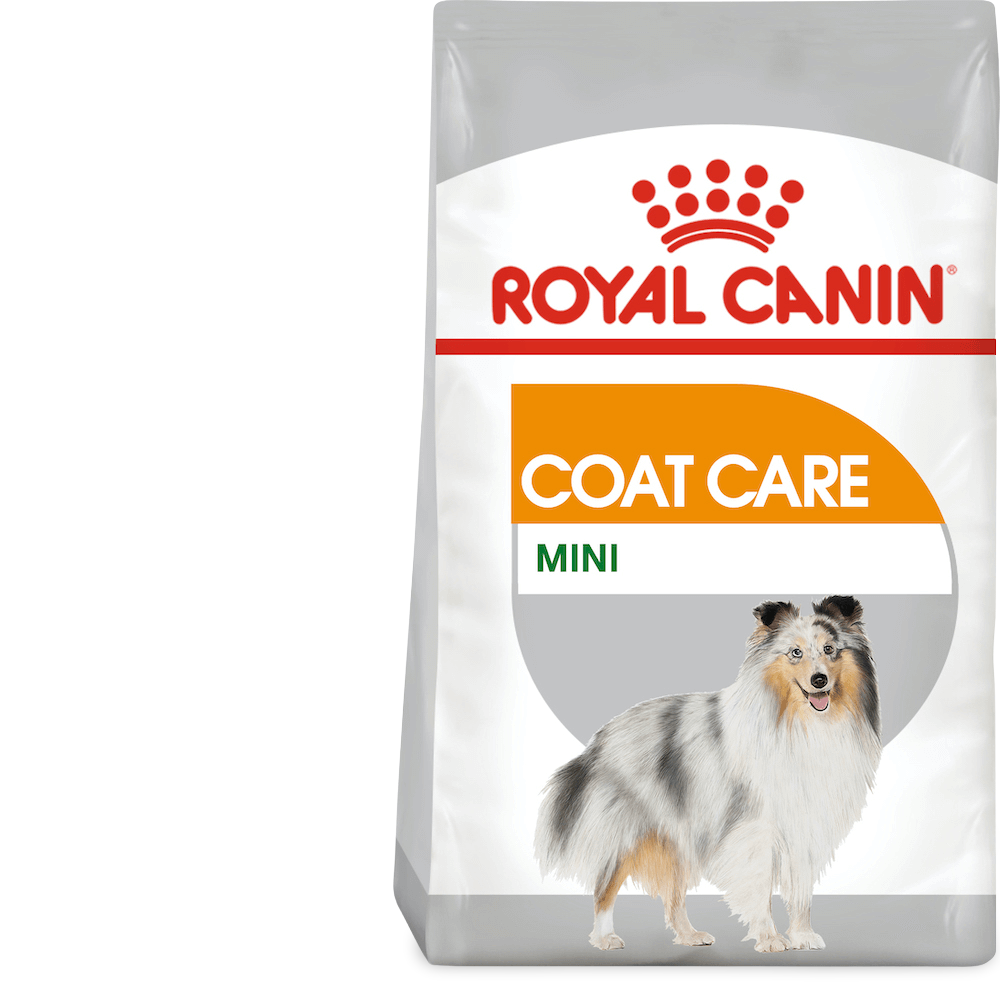 royal canin dog food mini adult