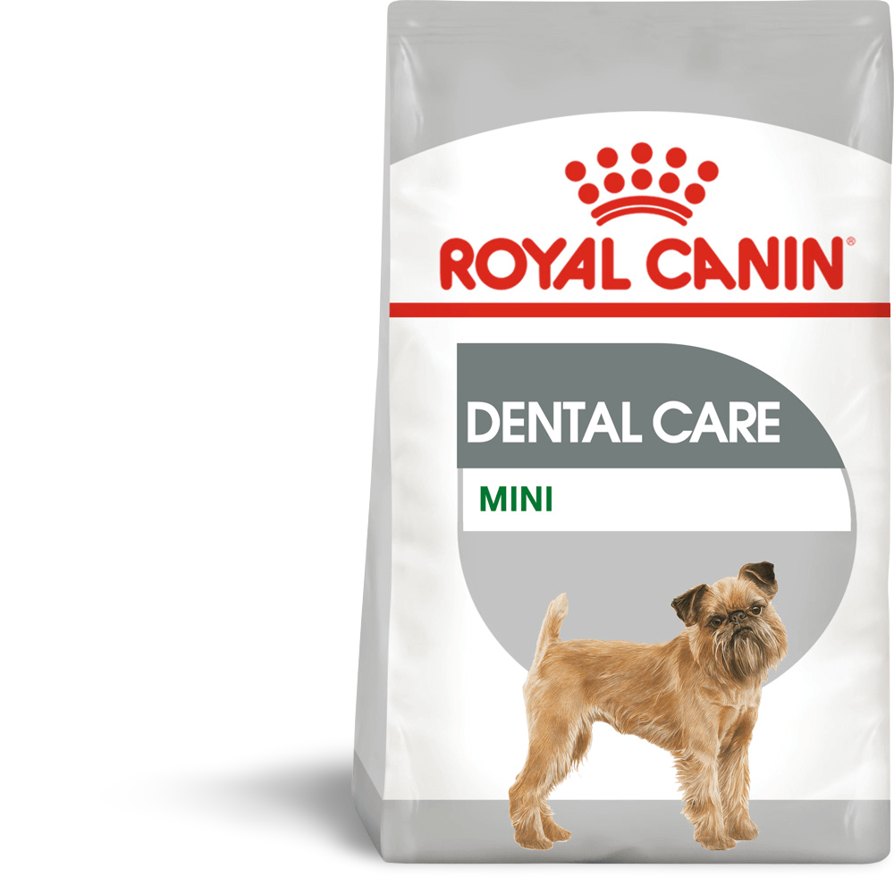 royal canin dental cat 3kg
